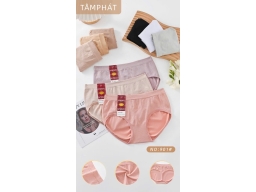 QUẦN DỆT NÂNG MÔNG 901 -  LỐC 10 CÁI MÀU